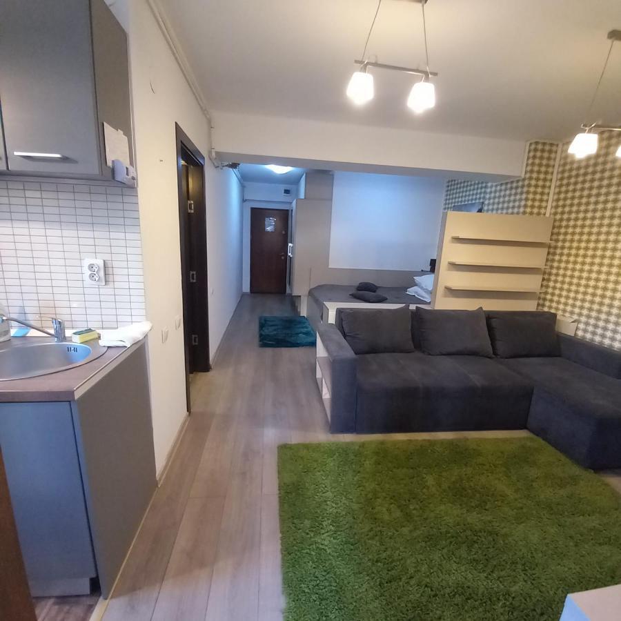 Apartament Aosta Central Sinaia Διαμέρισμα Εξωτερικό φωτογραφία